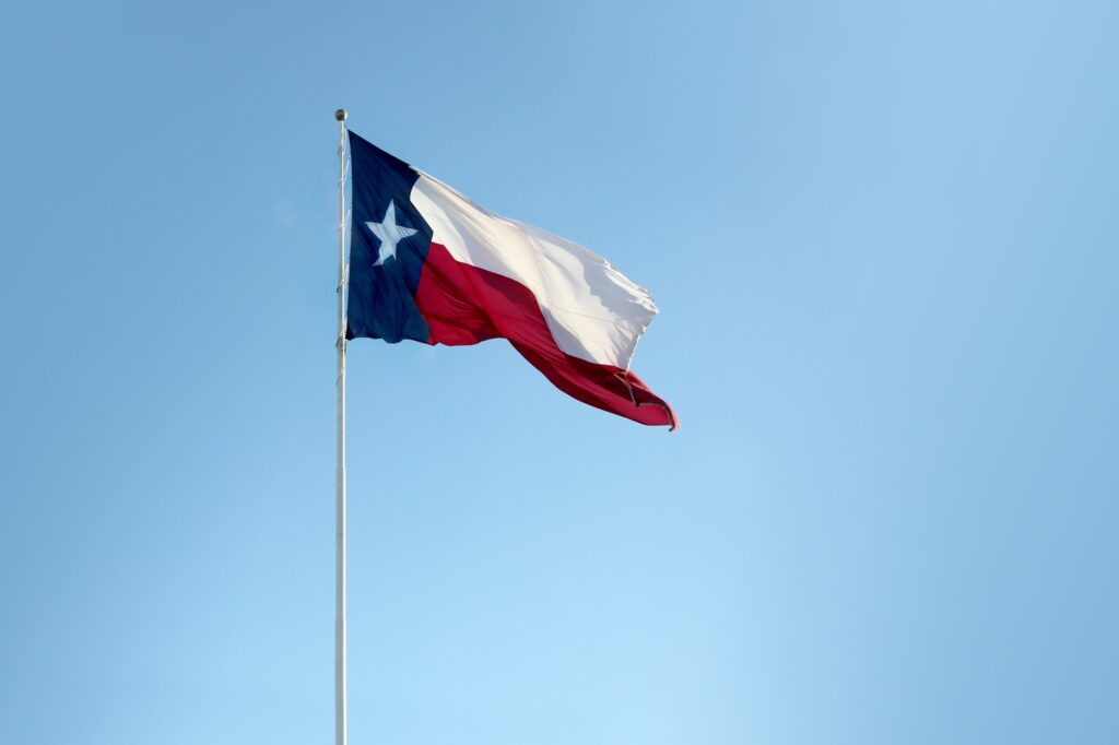 Lone star state - flag of Texas